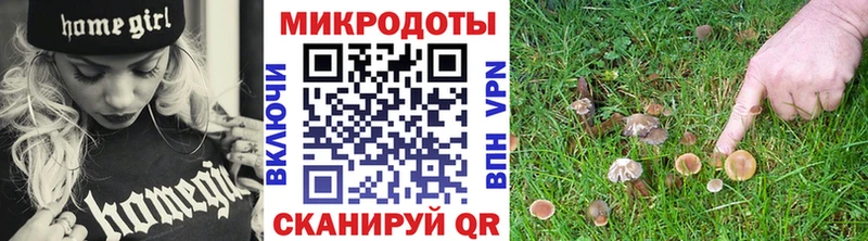 ссылка на мегу зеркало  Лесосибирск  Галлюциногенные грибы мухоморы  что такое наркотик 